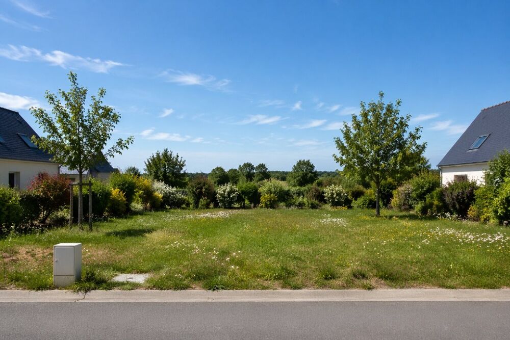 VOUS RÊVEZ D'UNE MAISON EN TOURAINE ? Maisons Stépha....
