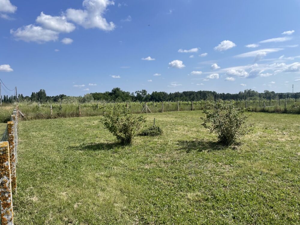 VENTE : maison de 5 pièces (100 m²) à Civrac-de-Blaye<BR....