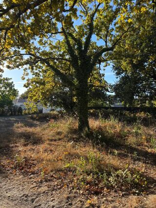 vente Terrain - 395 m² Lanton (33138)