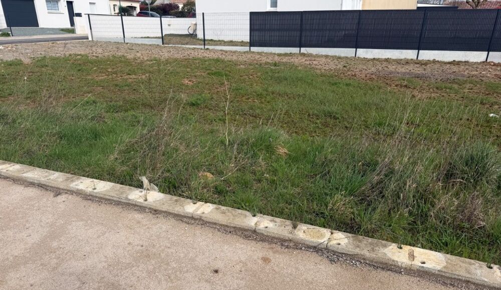 vente Terrain - 329 m² Angles (85750)