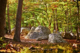  Terrain � vendre 670 m�