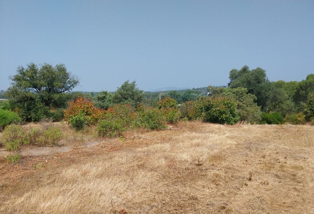 vente Terrain - 514 m² Fréjus (83600)