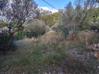  Terrain à vendre 1005 m²