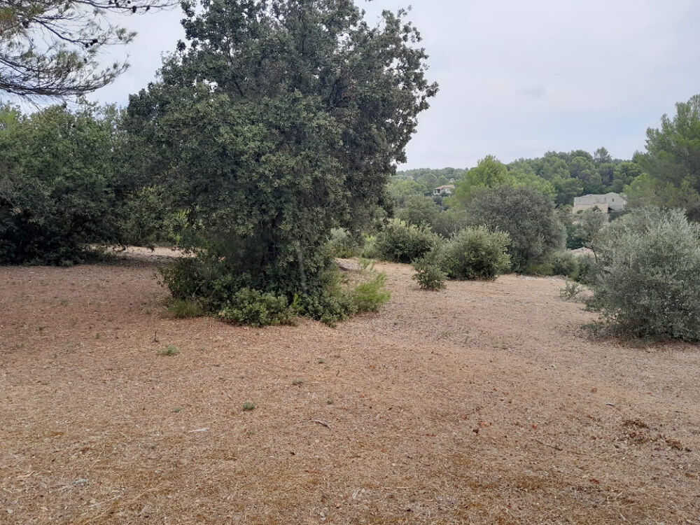 vente Terrain - 2318 m² Beaumettes (84220)