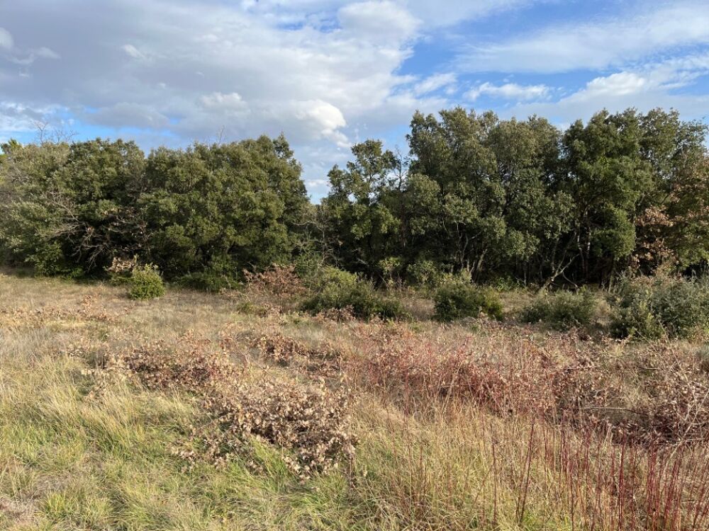 vente Terrain - 785 m² Grignan (26230)