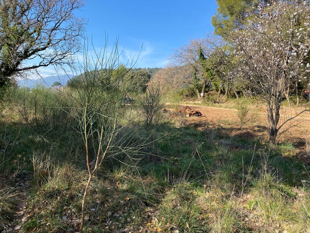 vente Maison - 4 pièce(s) - 90 m² Puget-Ville (83390)