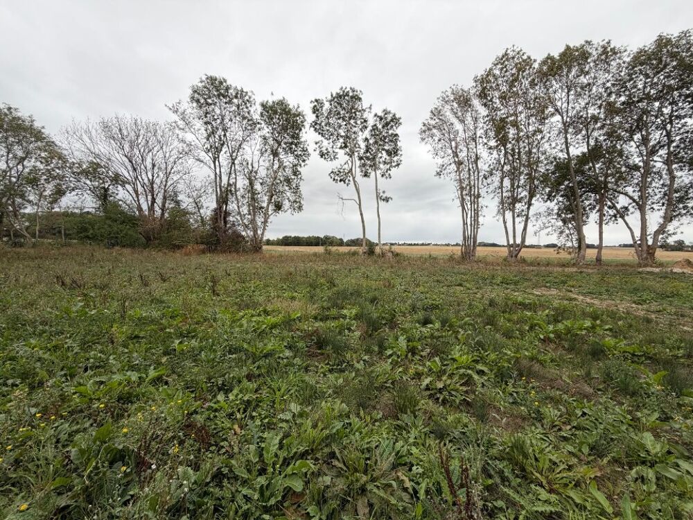 vente Terrain - 903 m² Cravent (78270)