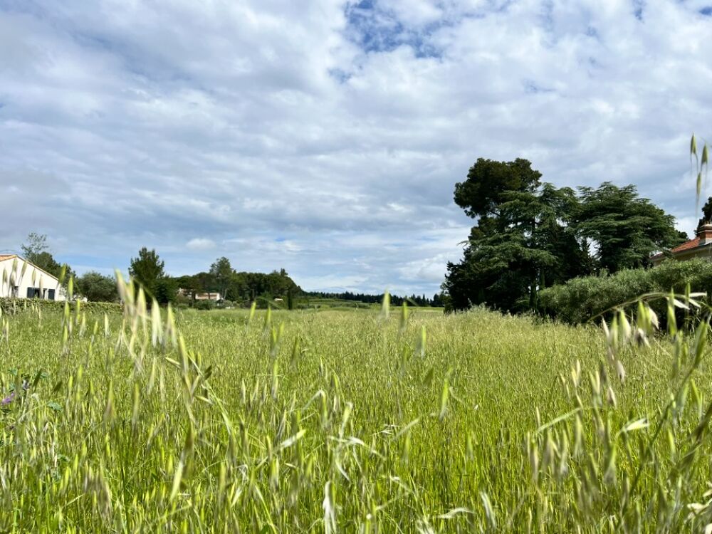 vente Terrain - 523 m² Domazan (30390)