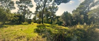  Terrain � vendre 500 m�