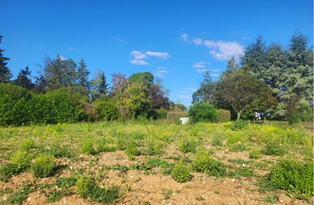 vente Terrain - 635 m² Auffargis (78610)