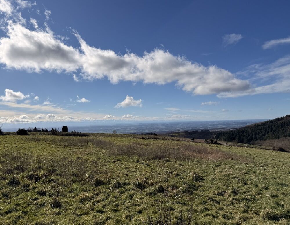 vente Terrain - 2600 m² Les Brunels (11400)