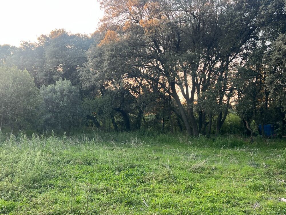 vente Terrain - 490 m² Salon-de-Provence (13300)