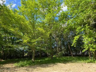 Terrain à vendre 1500 m²