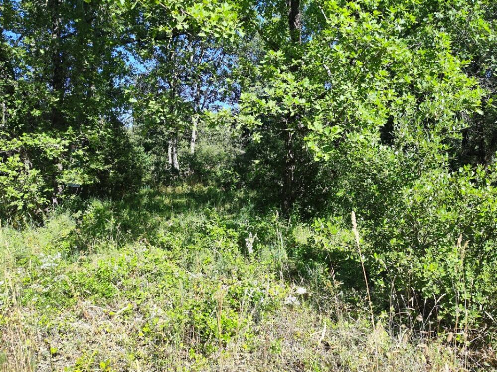 vente Terrain - 1397 m² Néoules (83136)