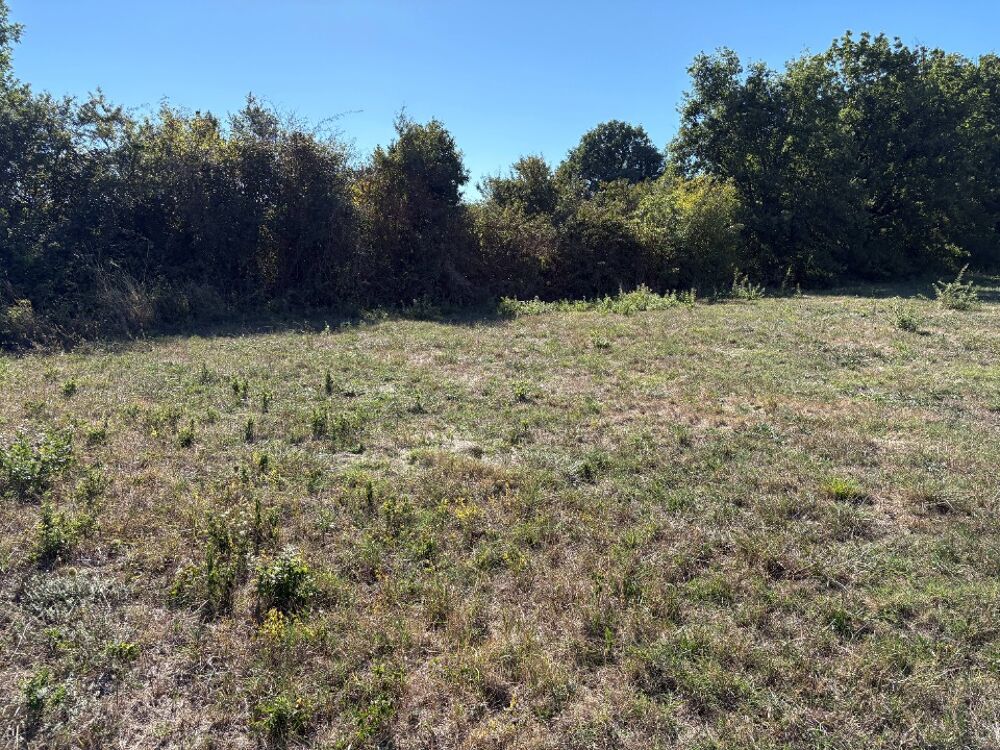 vente Terrain - 529 m² Soual (81580)