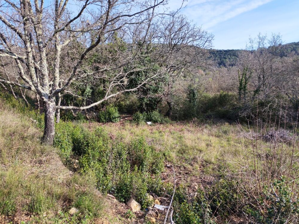 vente Terrain - 692 m² Besse-sur-Issole (83890)