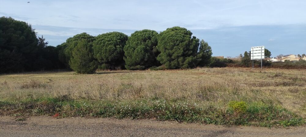 vente Terrain - 350 m² Autignac (34480)