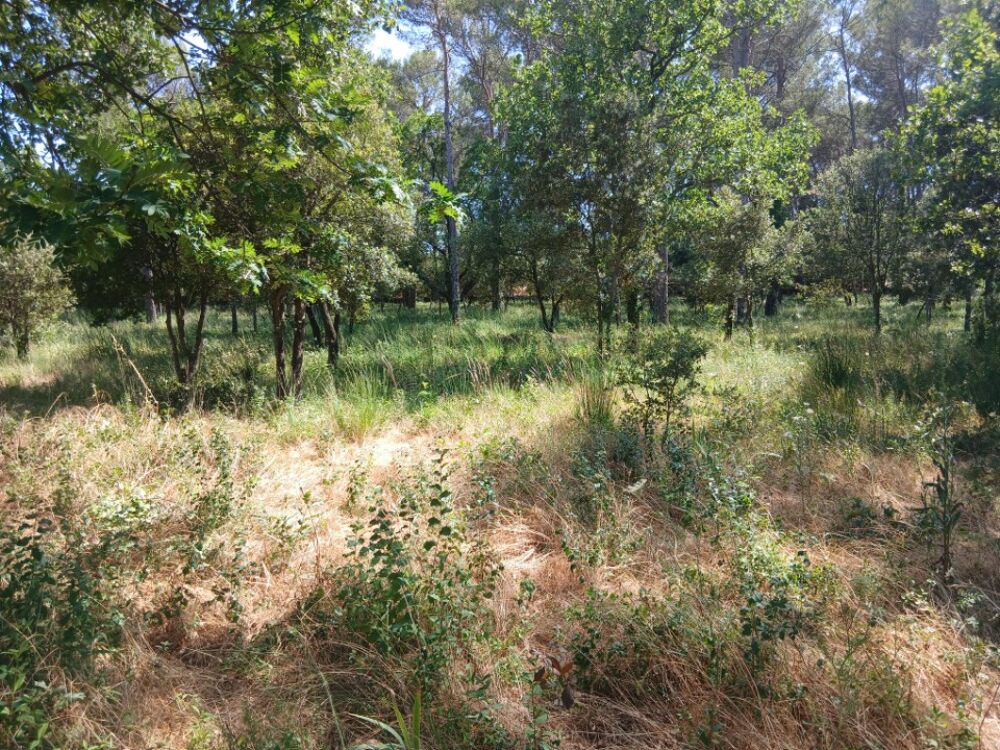 vente Maison - 3 pièce(s) - 60 m² Garéoult (83136)
