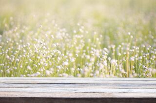  Terrain � vendre 630 m�