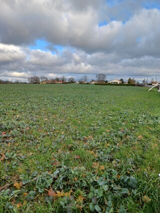  Terrain 289 m� La garnache