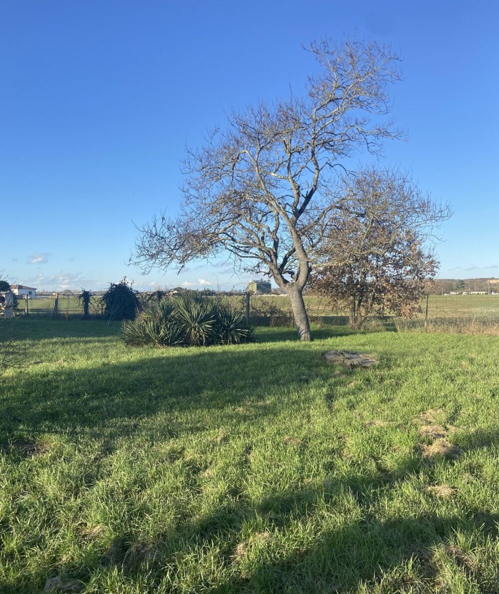 vente Maison - 5 pièce(s) - 110 m² Vernet (31810)