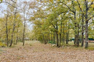  Terrain � vendre 700 m�