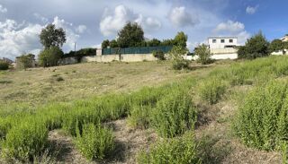  Terrain 2000 m� La roquette-sur-siagne