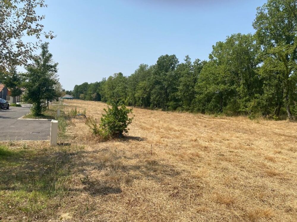 vente Maison - 4 pièce(s) - 120 m² Montbeton (82290)