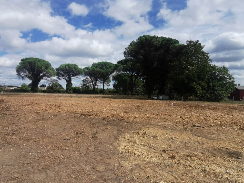 vente Terrain - 999 m² Saint-Maixant (33490)