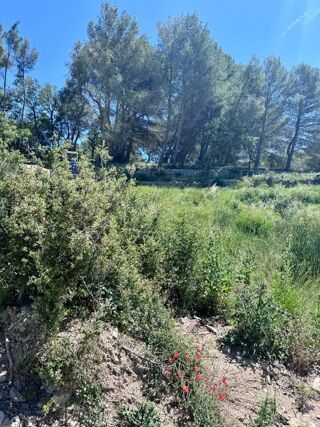  Terrain � vendre 1289 m�