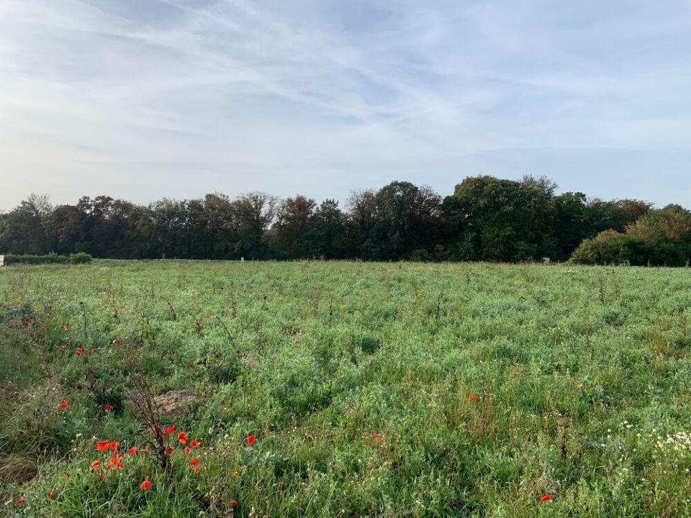 vente Terrain - 200 m² Ottange (57840)