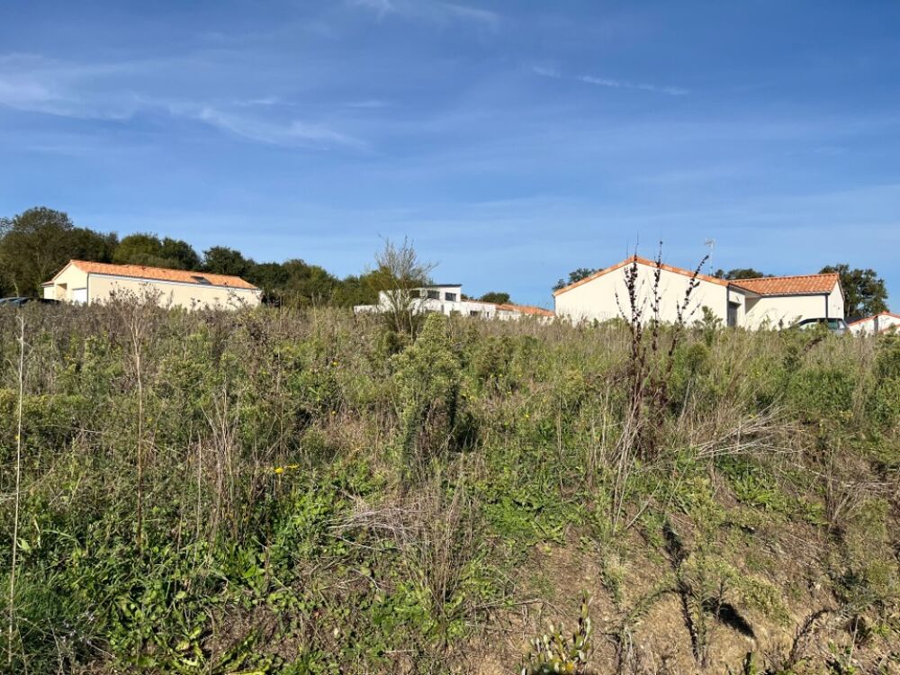 vente Maison - 5 pièce(s) - 89 m² Champtoceaux (49270)