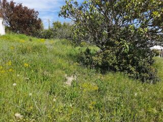  Terrain � vendre 317 m�