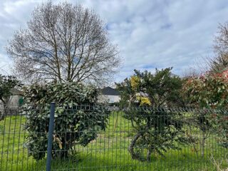  Terrain � vendre 421 m�