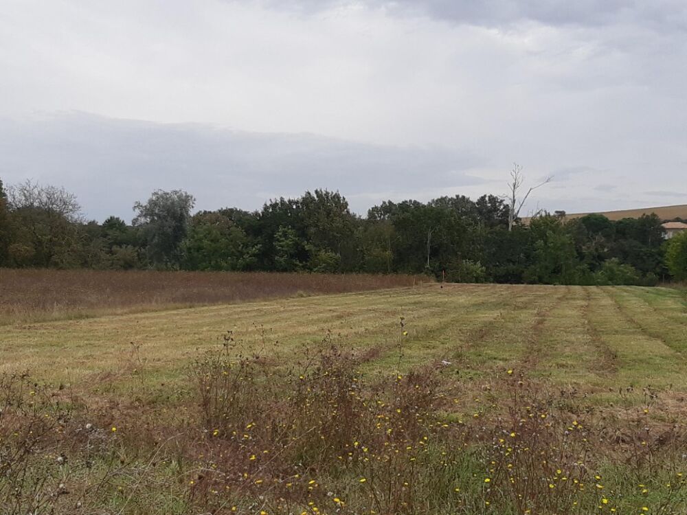 vente Maison - 4 pièce(s) - 90 m² Cépet (31620)