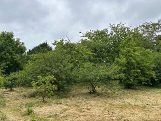  Terrain � vendre 700 m�