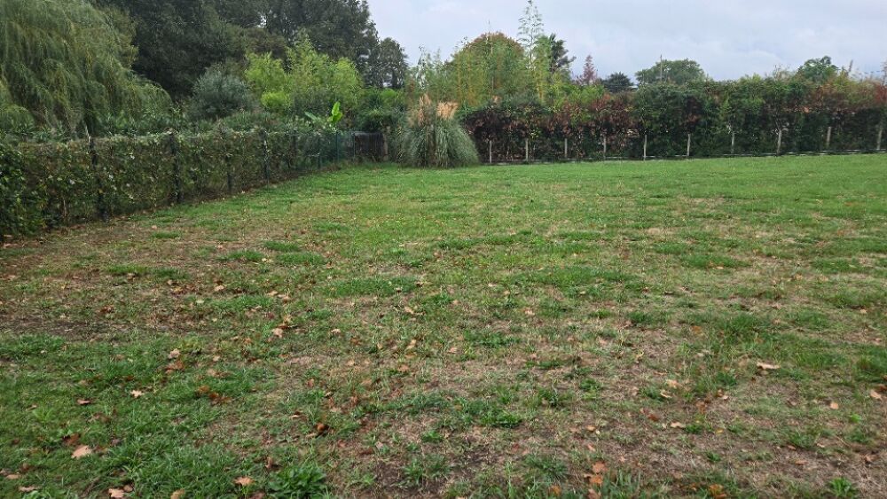 vente Terrain - 1100 m² Saint-Savin (33920)