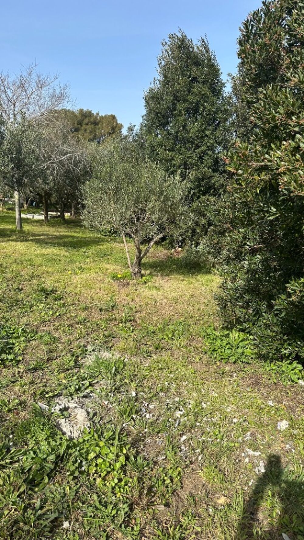 vente Terrain - 1241 m² Hyères (83400)