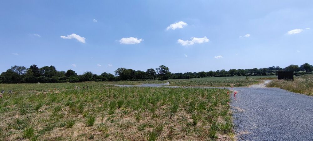 vente Terrain - 547 m� Jarz� (49140)