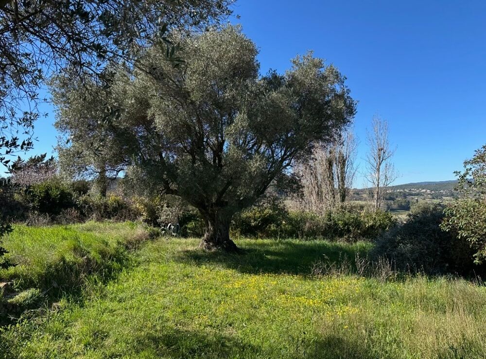 vente Terrain - 250 m� Le Castellet (83330)