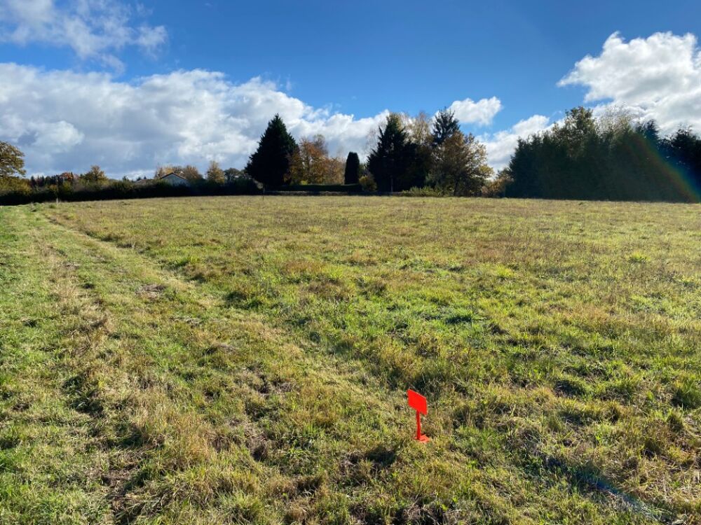 vente Terrain - 1471 m² Roannes-Saint-Mary (15220)