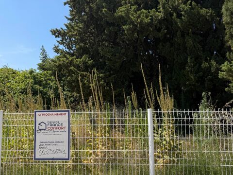 Image Annonce