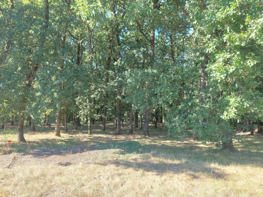 vente Terrain - 750 m² Pechbonnieu (31140)