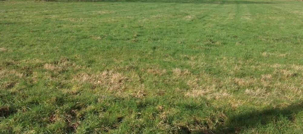 vente Terrain - 2400 m² Tournai-sur-Dive (61160)