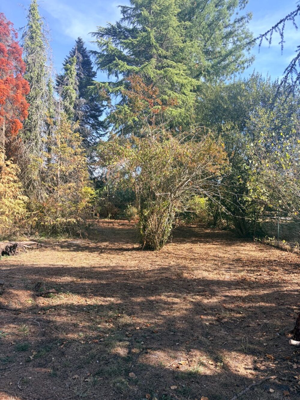 vente Terrain - 1200 m² Saint-Aubin-de-Médoc (33160)