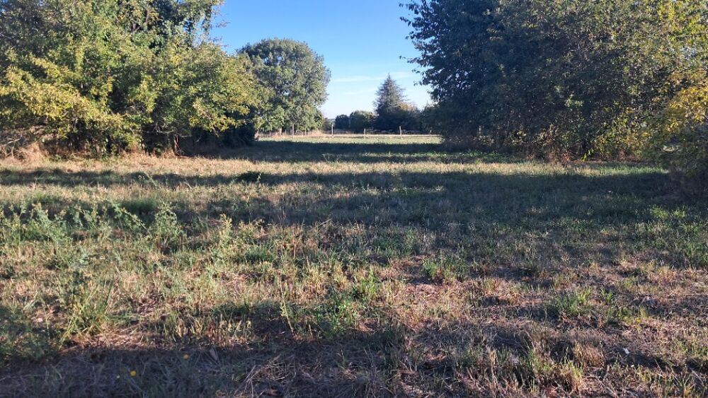 vente Terrain - 1105 m² Ozillac (17500)