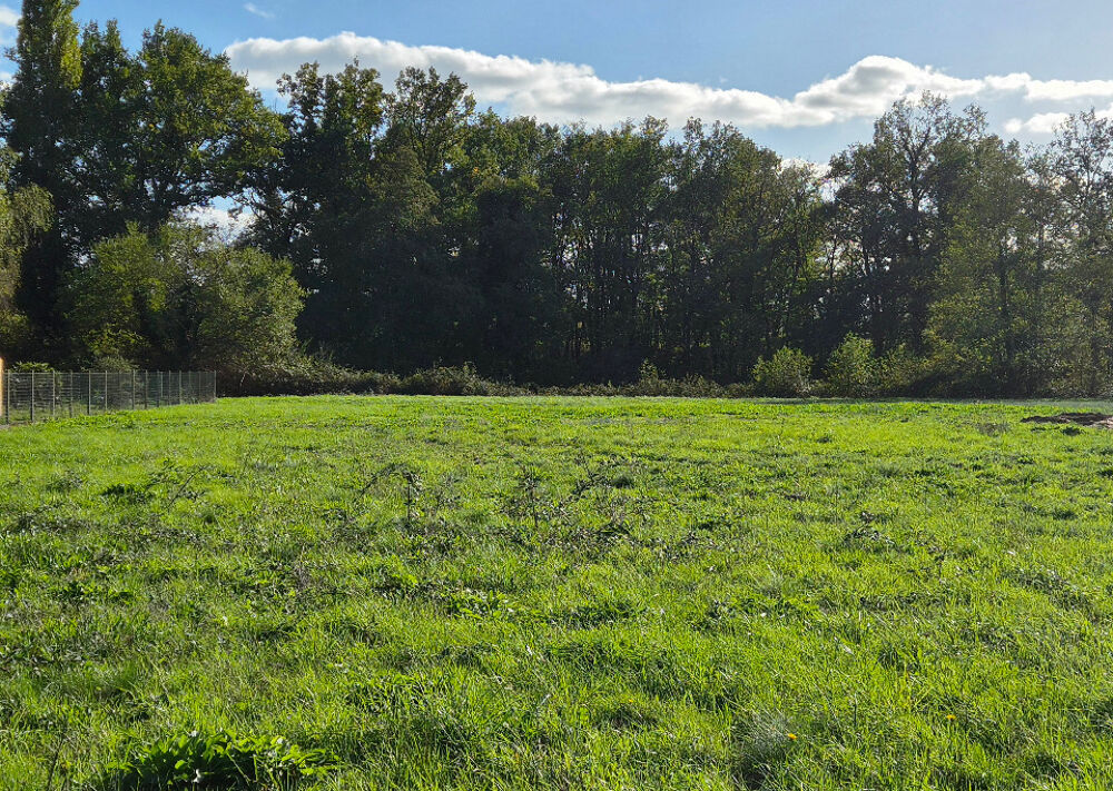 vente Maison - 4 pièce(s) - 101 m² Saint-Antoine-sur-l'Isle (33660)