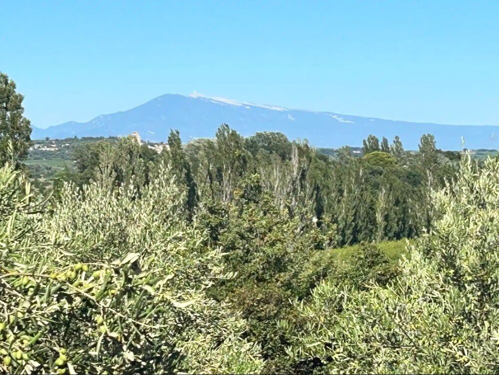vente Terrain - 400 m² Roquemaure (30150)