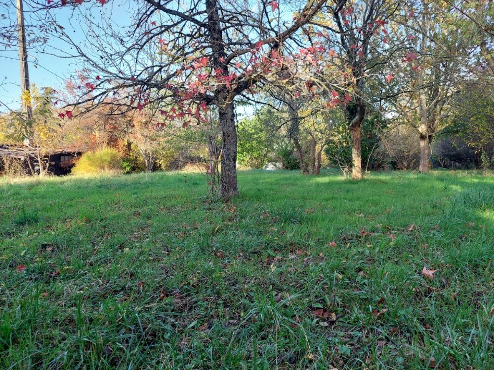 vente Maison - 5 pièce(s) - 84 m² Saint-Jean (31240)