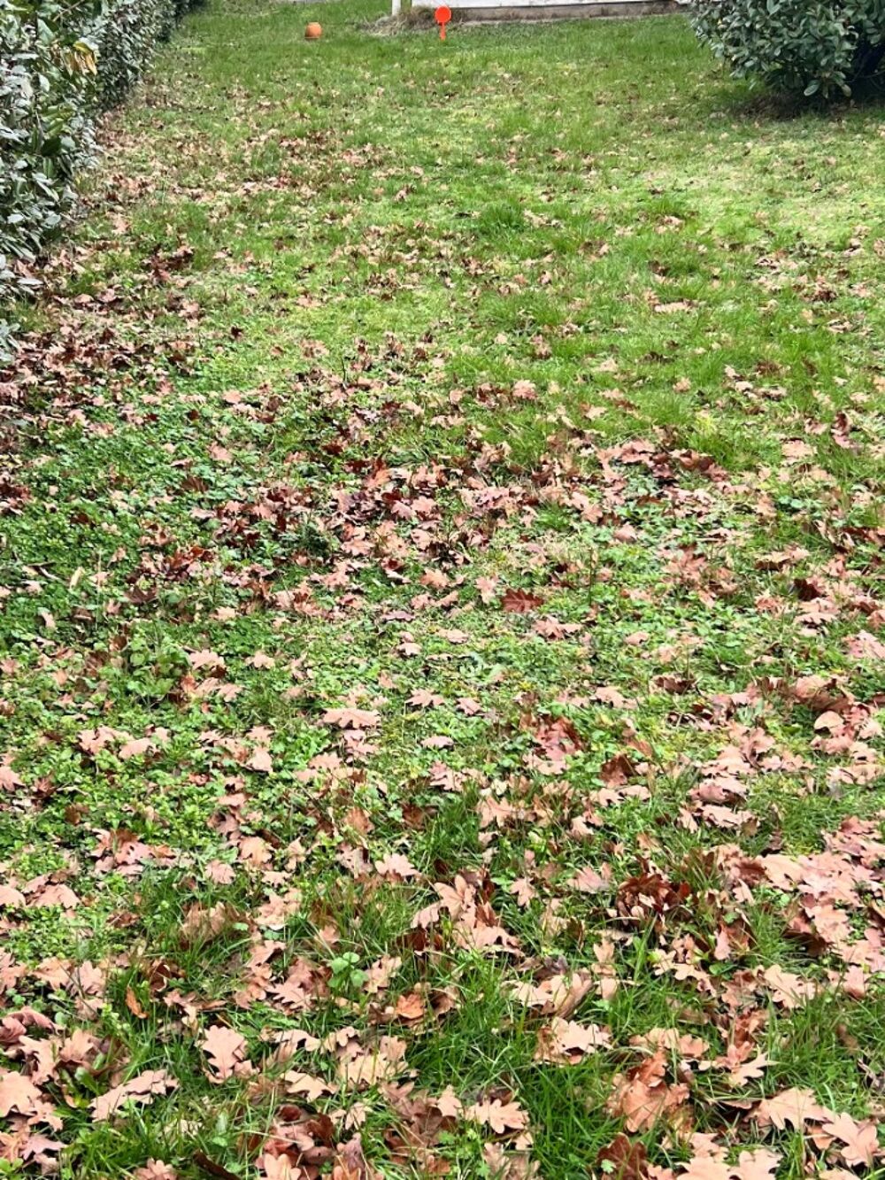 vente Maison - 4 pièce(s) - 80 m² Biganos (33380)